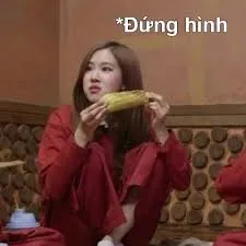 meme blackpink 23
