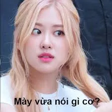 meme blackpink 34