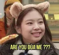 meme blackpink 35