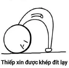 meme lạy 28