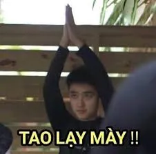 meme lạy 29