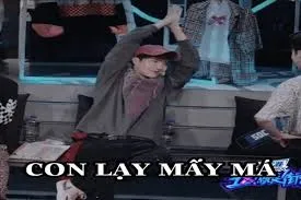 meme lạy 31