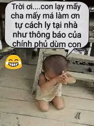 meme lạy 35
