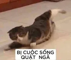 meme mệt mỏi 2