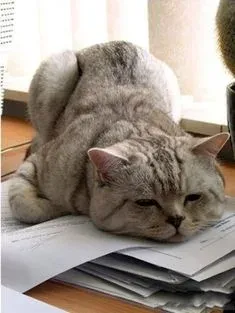 meme mệt mỏi 3