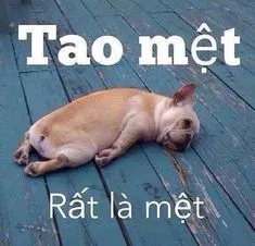 meme mệt mỏi 4