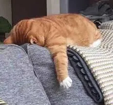 meme mệt mỏi 21