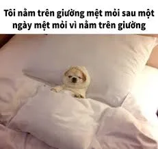 meme mệt mỏi 25