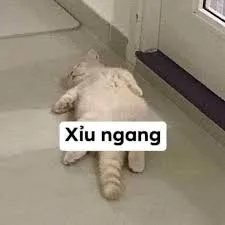 meme mệt mỏi 29