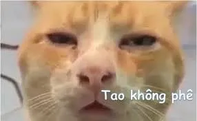 meme mệt mỏi 35
