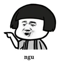 meme ngu 1