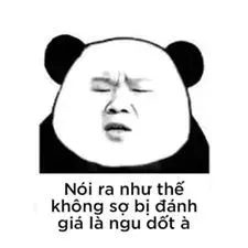 meme ngu 2