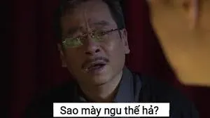 meme ngu 7