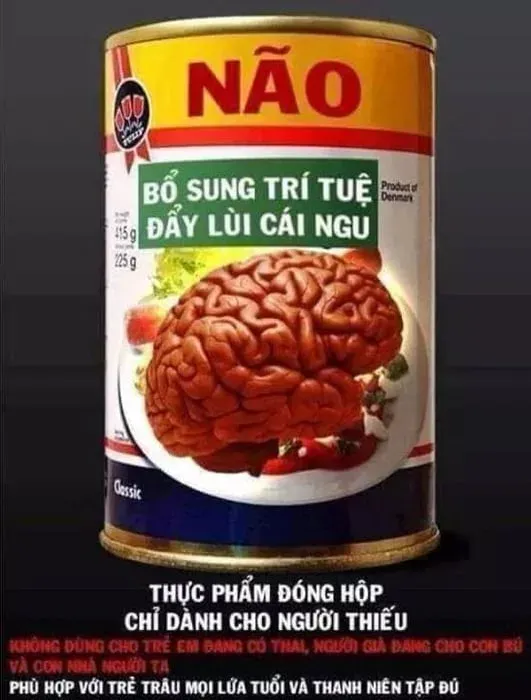 meme ngu 11