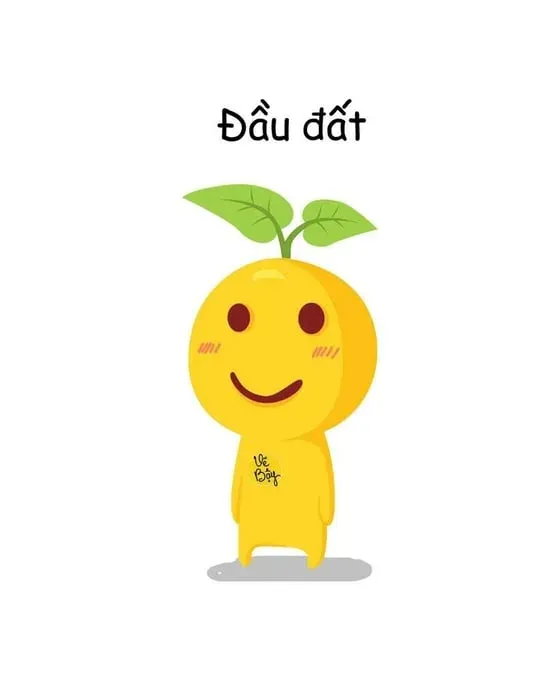 meme ngu 16