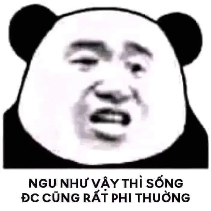 meme ngu 17
