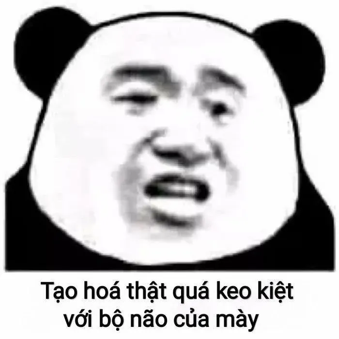 meme ngu 18