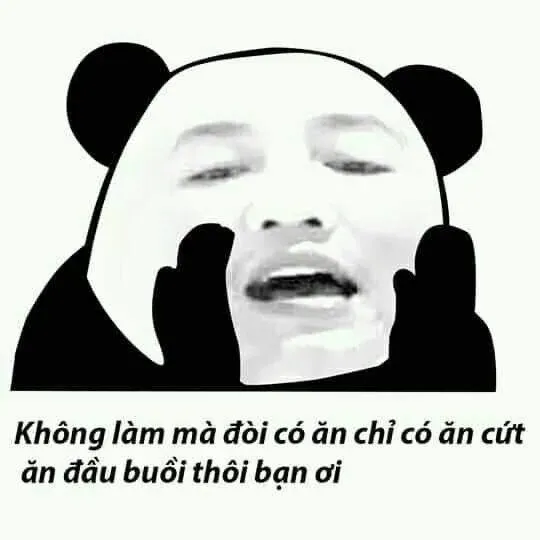 meme ngu 19