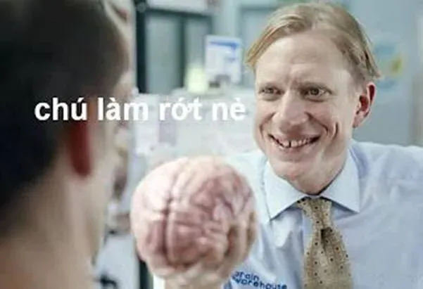 meme ngu 20