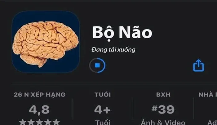 meme ngu 25