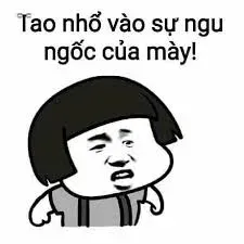 meme ngu 29