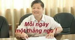 meme ngu 31