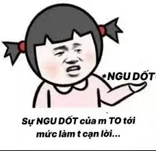 meme ngu 34