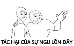 meme ngu 35