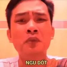 meme ngu 36