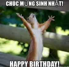 meme sinh nhật 22