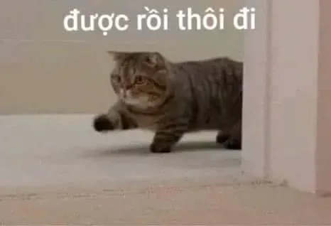 meme từ chối 9