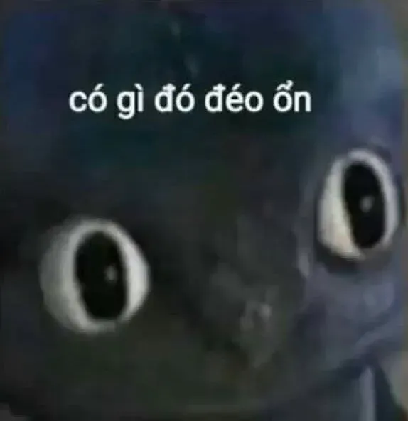 meme từ chối 15