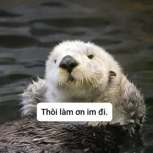 meme từ chối 20