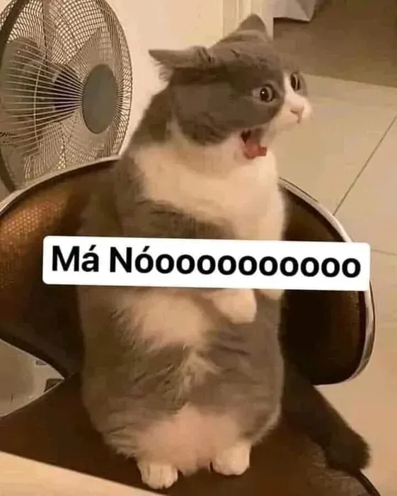 meme từ chối 21