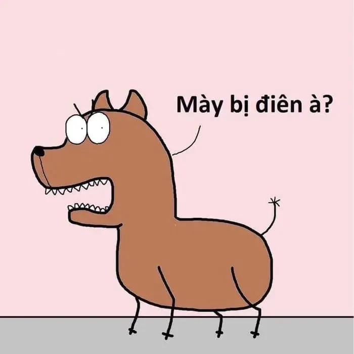 meme từ chối 23