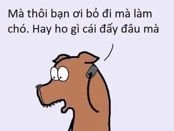 meme từ chối 31