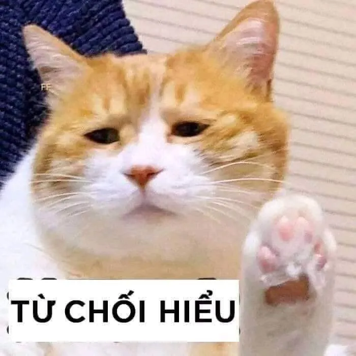 meme từ chối 33