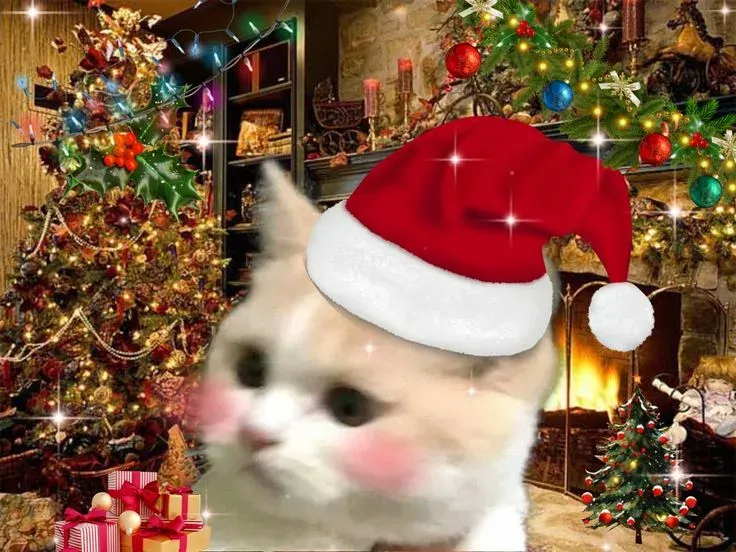 mèo noel meme 2