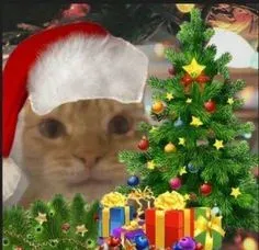 mèo noel meme 8