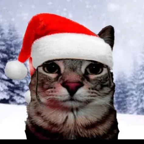 mèo noel meme 9