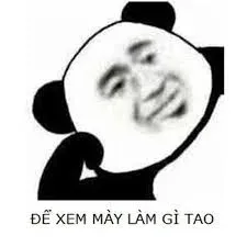 pepe meme 31