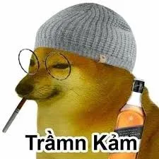 pepe meme 33