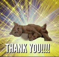 thank you meme 2