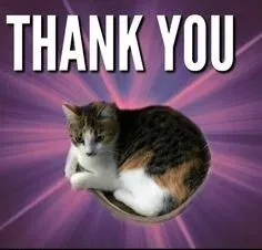 thank you meme 3