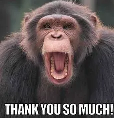 thank you meme 12
