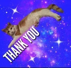 thank you meme 13