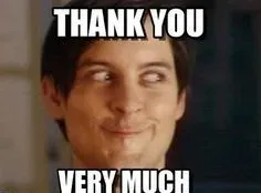 thank you meme 14