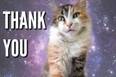 thank you meme 16