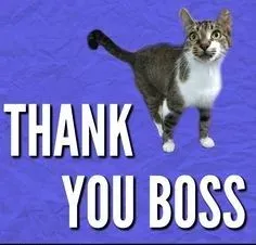 thank you meme 17