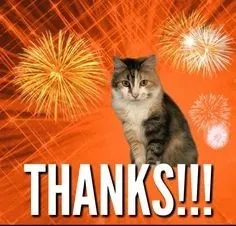 thank you meme 18